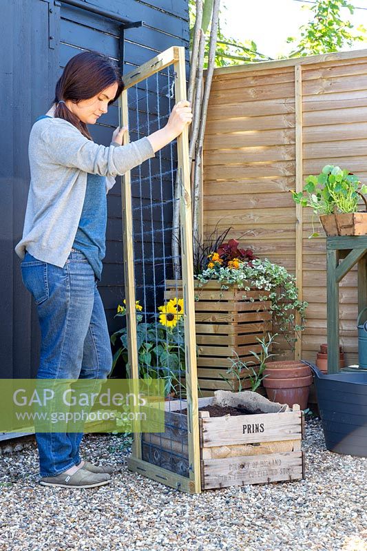 Woman holding trellis up against wooden crate prior to fixing together. 