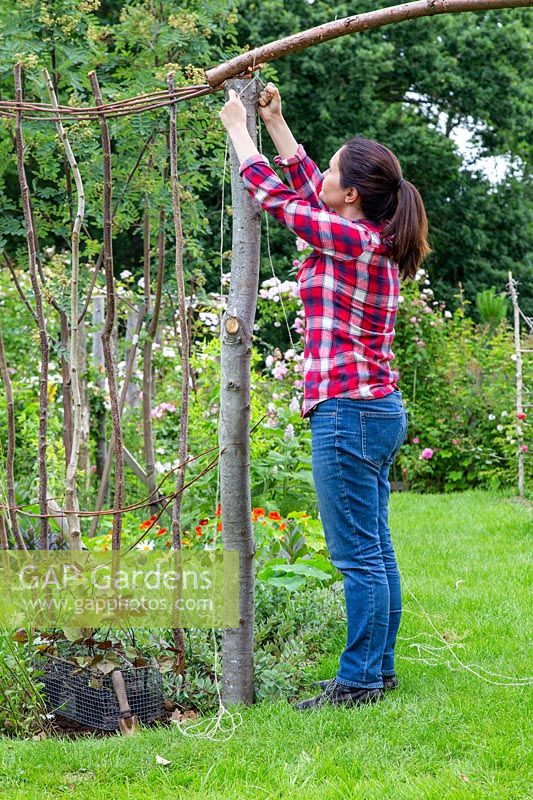 Woman tying garden twine to rustic post. 