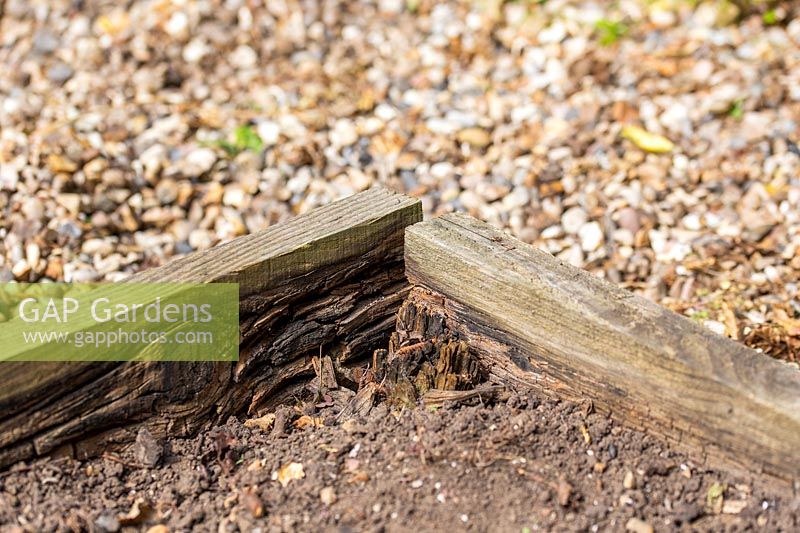 Decaying wooden boards of raised beds no longer retaining soil after 7 years