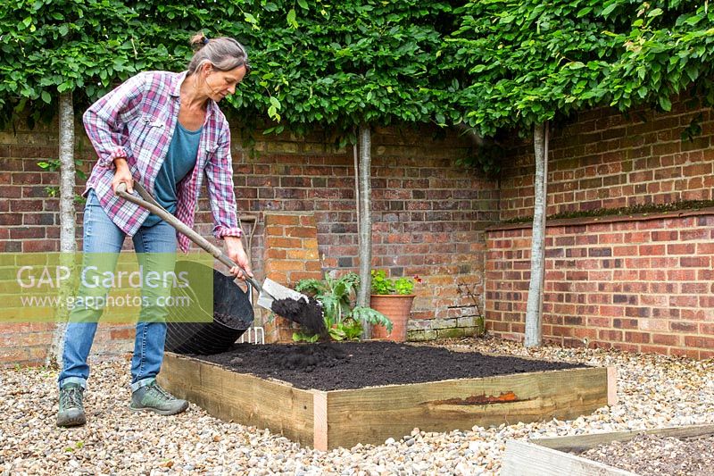 Woman adding soil improver to newly renovated raised bed with a spade
