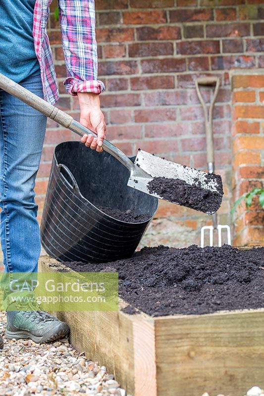 Woman adding soil improver to newly renovated raised bed with a spade. 