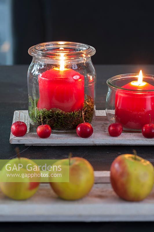 Quick Advent wreath with Malus spec. and apples, 4 red candles in a lantern and moss insde on a table