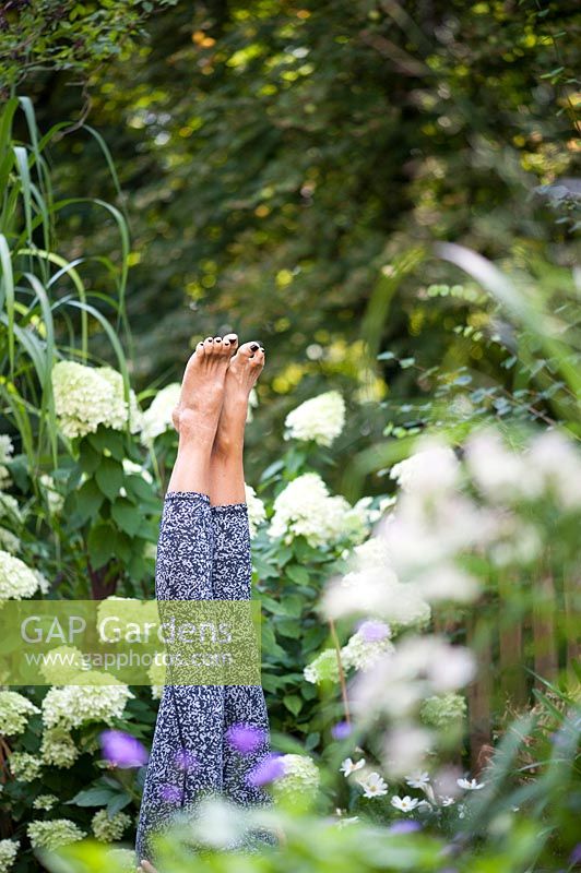 A person exercising yoga position Sarvangasana or shoulder stand in the garden
