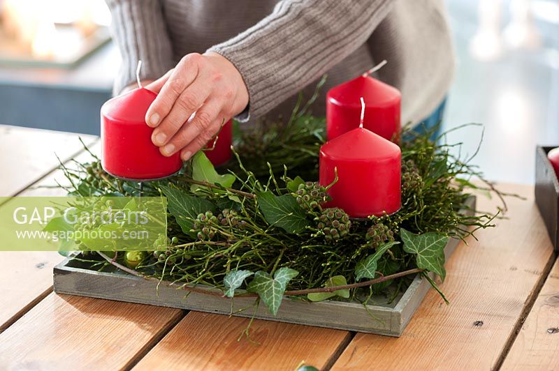 Vaccinium myrtillus wreath and ivy cirrus with infructescence  - Advent wreath 
with 4 red candles  - a person making a wreath and placing the candles