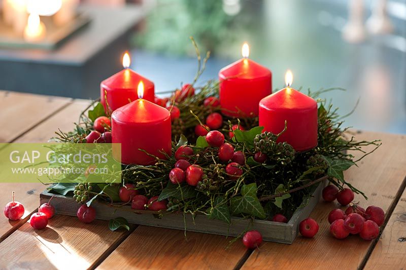 Vaccinium myrtillus wreath and ivy cirrus with infructescence - Advent wreath 
with 4 red candles and Malus spec. berries on the wooden table