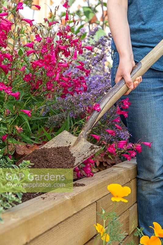Woman adding soil improver to raised bed using a space