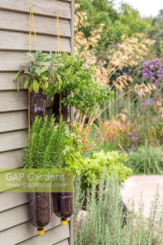 Tiered plastic bottle herb planter on shed - herbs include Rosemary, Feverfew, Sage and Marjoram
