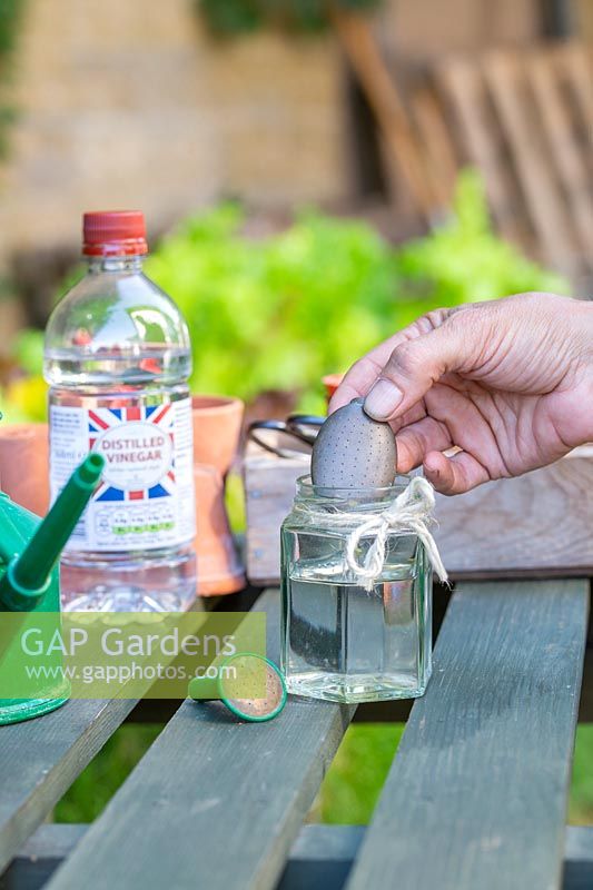 Add watering can rose to vinegar solution