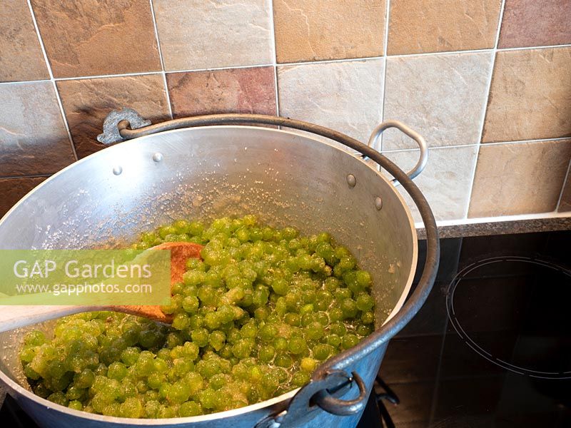 Stirring mixture of green grapes, sugar and lemon juice in metal pan to make jam.  