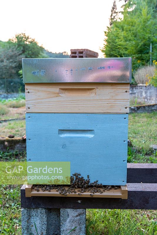 Beehive in a Kitchen Garden. 