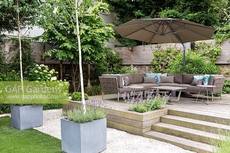 Large garden in St John's Wood - raised deck seating area with large parasol and 
 contemporary zinc containers with Betula utilis Jaquemontii 
