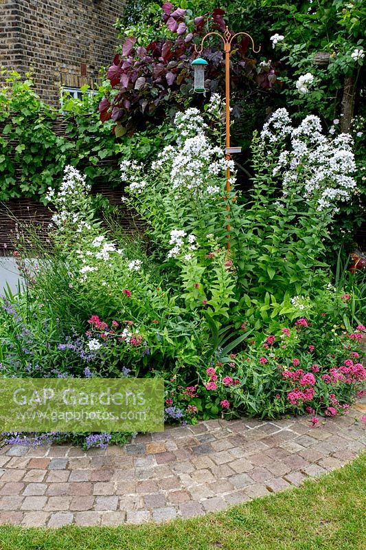 View of curved border with flowering herbaceous perennials spilling onto paved pathway. 
