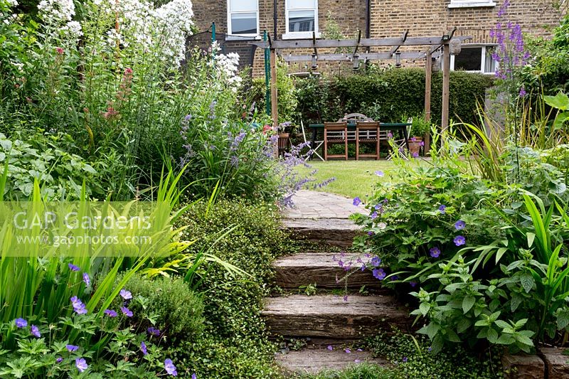 Reclaimed jarra railway sleeper steps with Geranium, Iris and Muhlenbeckia in North London garden