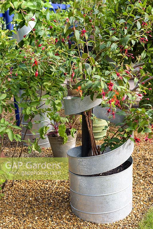 Hand crafted meatl pot for Fuchsia. RHS Grow Your Own with The Raymond Blanc Gardening School- RHS Hampton Flower Show 2018.