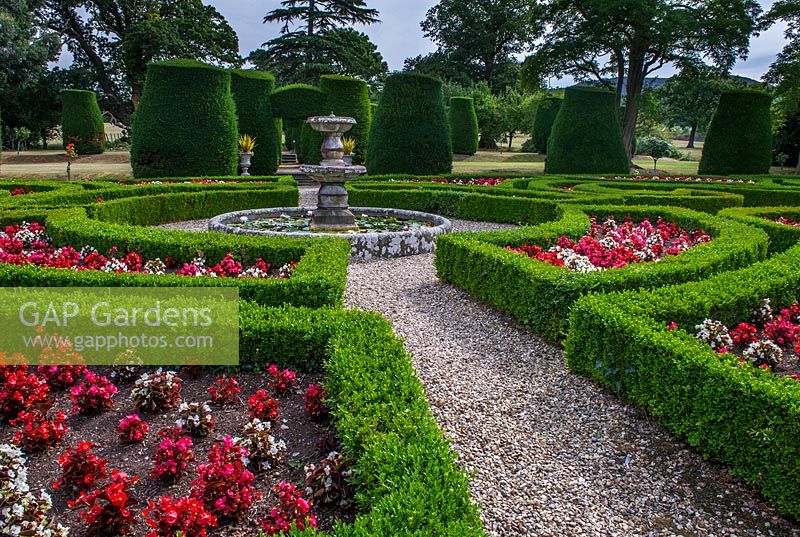 Victorian parterre and yew topiary at Bodrhyddan Hall, Rhuddlan, North Wales.