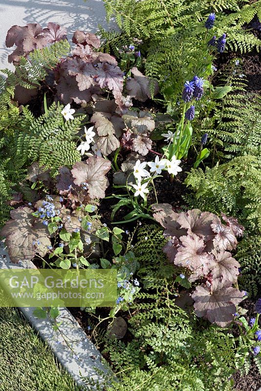 Mixed spring planting in border -  'What Lies Beneath', Ascot Spring Garden Show, 2018. 