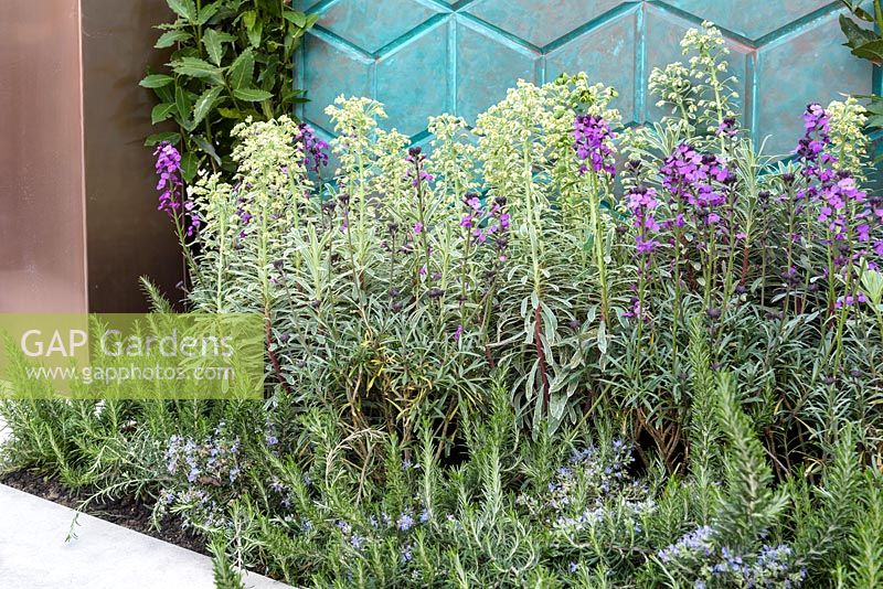 Mixed planting next to a blue decorative screen - 'On Point' Garden, Ascot Spring Garden Show, 2018 