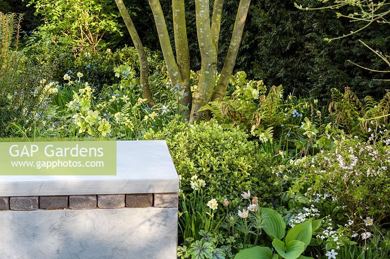 Bench with mixed planting under multi-stemmed Amelanchier. 'Landform Spring Garden'. Ascot Spring Garden Show, 2018