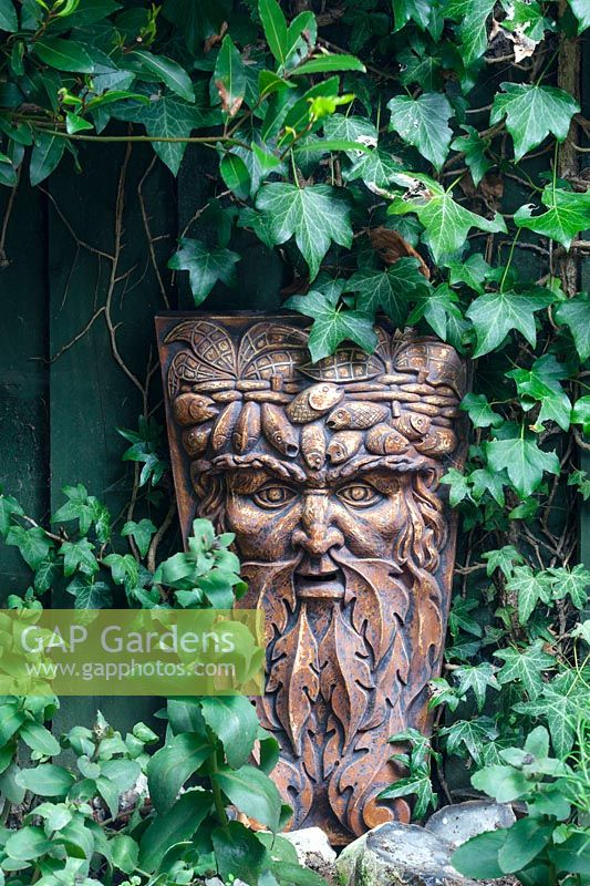 Green man sculpture with native English Hedera helix - ivy.