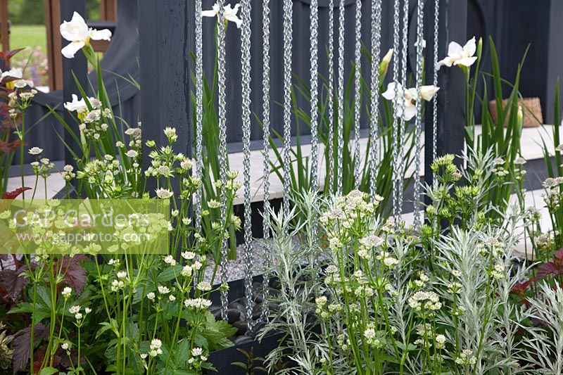 Green and white planting in show garden -' A Family Garden', sponsored by CCLA, RHS Chatsworth Flower Show, 2018.