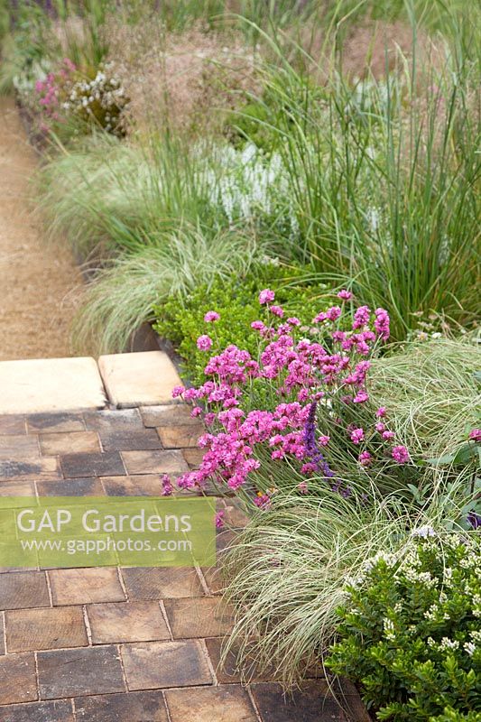 Mixed planting of Armeria maritima, Hebe vernicosa and ornamental grasses spilling onto garden path - The Great Outdoors Garden, Sponsered by Allgreen Group Handspring Design Knowl Park Nurseries, RHS Chatsworth Flower Show, 2018. 
