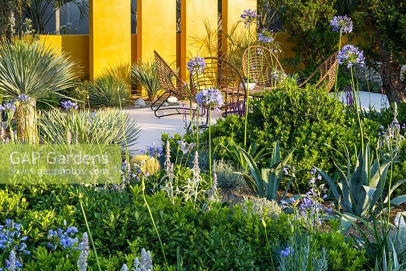 Chairs on stone terrace with  Yucca rostrata, Pittosporum, Agapanthus and Stachys. 'Living La Vida 120'. RHS Hampton Flower Show 2018 