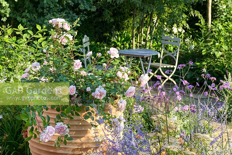 Rosa 'Wildeve' in terracotta pot with table and chairs. 'Best of Both Worlds', RHS Hampton Flower Show 2018