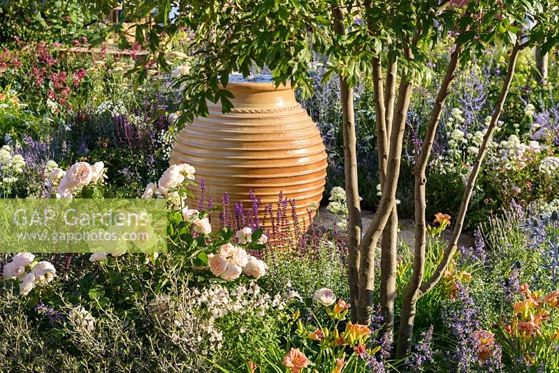 Terracotta water pot with Salvia, multi-stemmed Malus toringo - crab apple tree and Rosa 'Gentle Hermione'. 'Best of Both Worlds', RHS Hampton Flower Show 2018