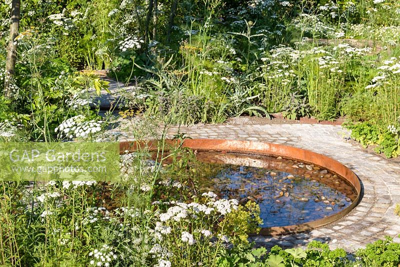 The Health and Wellbeing Garden, Sponsored by CED Ltd, Majestic Trees, Marshal Murray,  RHS Hampton Court Flower Show, 2018. 

