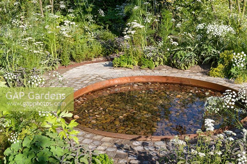 The Health and Wellbeing Garden, Sponsored by CED Ltd, Majestic Trees, Marshal Murray, RHS Hampton Court Flower Show, 2018.