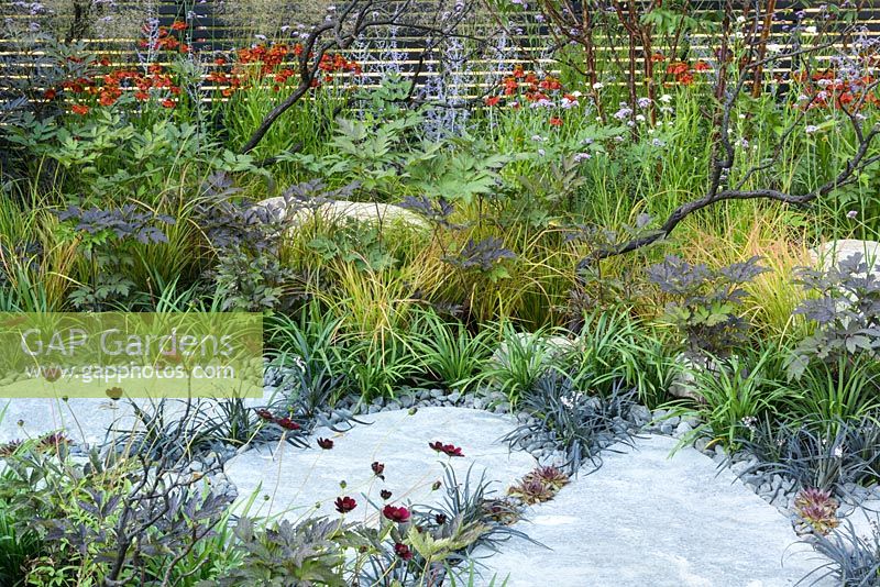 Elements Mystique Garden, Sponsored by Elements Garden Design, RHS Hampton Court Flower Show, 2018.