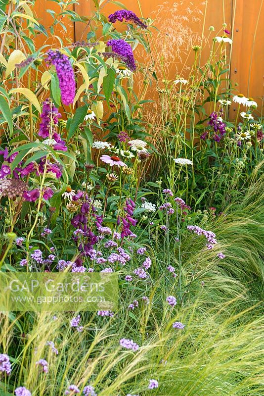 Mixed wildflower border. 'Apeiron: The Dibond Garden', RHS Hampton Court Palace Flower Show, 2018.  