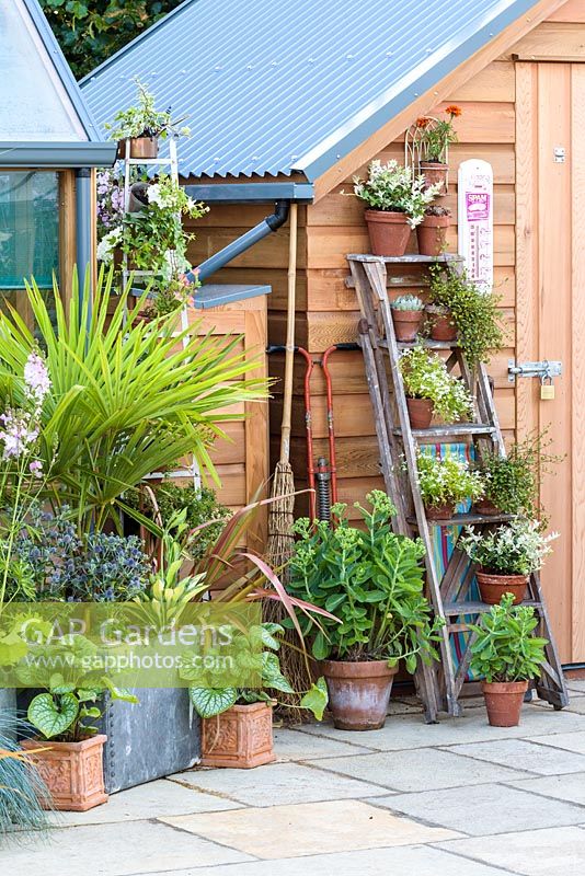 Herbs and flower pots besides timber shed  - RHS Hampton Flower Show 2018. 