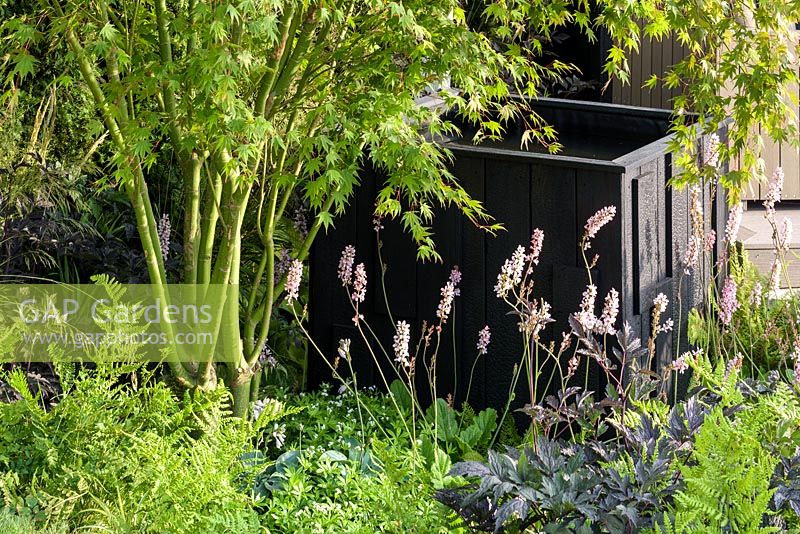 Wooden water tower with Acer palmatum, Actea and Dryopteris. 'A Place to Meet Garden', RHS Hampton Flower Show, 2018