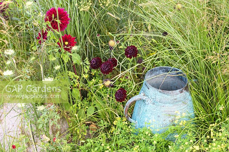 Scabiosa and red Dahlias with copper jug. 'Style and Design Garden', RHS Hampton Flower Show 2018