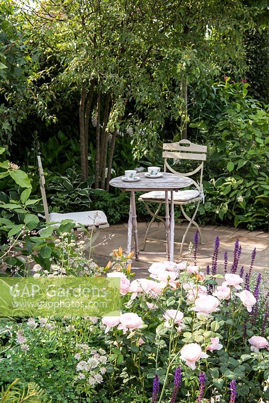 Table and chairs on a patio, mixed planting with Rosa 'Queen of Sweden', Astrantia and Salvia - Best of Both Worlds, RHS Hampton Court Palace Flower Show 2018