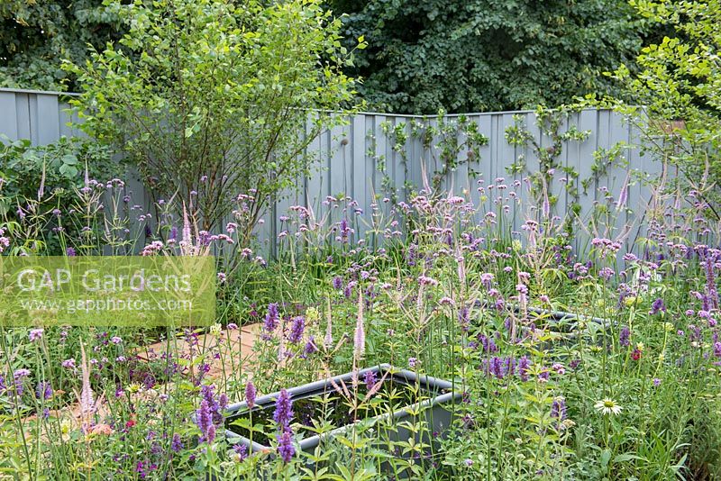 Steel troughs set amongst mixed planting with the backdrop of a blue painted fence - Southend Young Offenders 'A Place to Think', RHS Hampton Court Palace Flower 2018