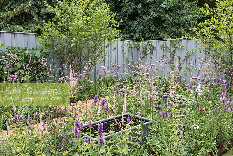 Steel troughs set amongst mixed planting with the backdrop of a blue painted fence - Southend Young Offenders 'A Place to Think', RHS Hampton Court Palace Flower 2018