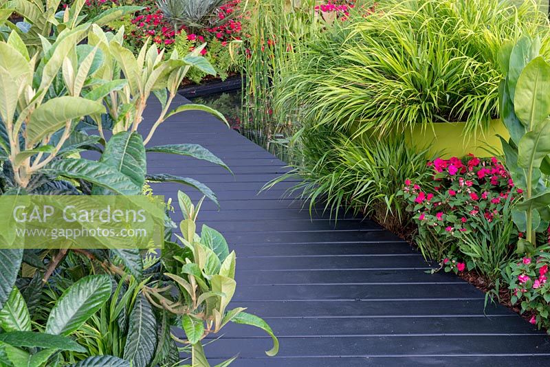 Black boarded walkway lined with Hakonechloa macra and colourful planting in show garden - BandQ Bursting Busy Lizzie Garden, Sponsored by BandQ, RHS Hampton Court Flower Show, 2018.
