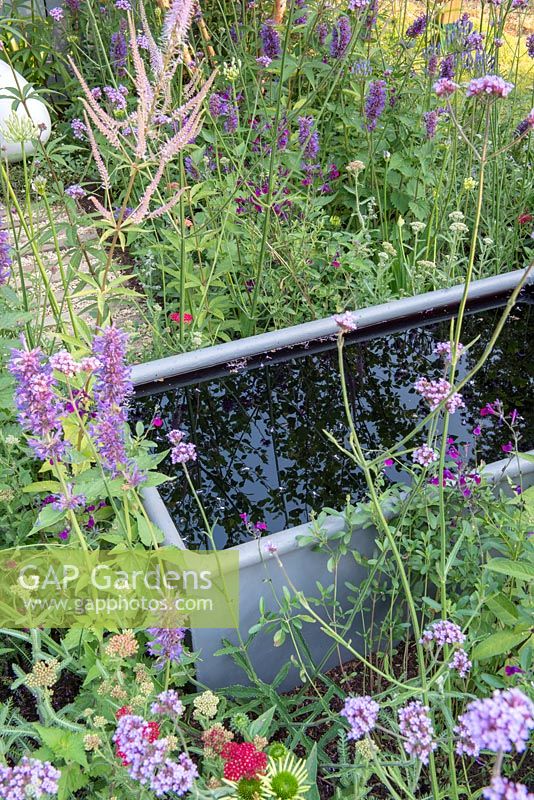 Steel trough set amongst mixed planting of flowering perennials - Southend Young Offenders': A Place to Think, RHS Hampton Court Palace Flower Show, 2018.