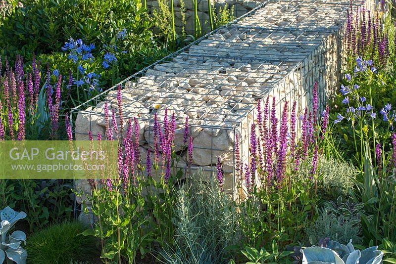 Wire cage with stones creating a dividing wall with mixed planting - Santa Rita Living La Vida 120 Garden, RHS Hampton Court Palace Flower Show 2018
