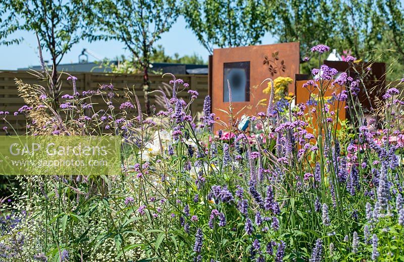 Colourful purple border - RNIB's Community Garden, RHS Hampton Court Palace Flower Show 2018