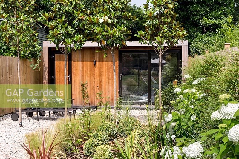 Garden room and patio area, Magnolia grandiflora trees in a line outside  Contemporary garden in Dulwich 