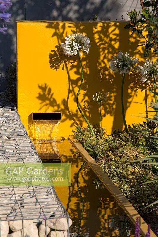 Envelope water feature in yellow wall - Santa Rita 'Living La Vida 120' Garden, Sponsored by Santa Rita Wines, RHS Hampton Court Flower Show, 2018.