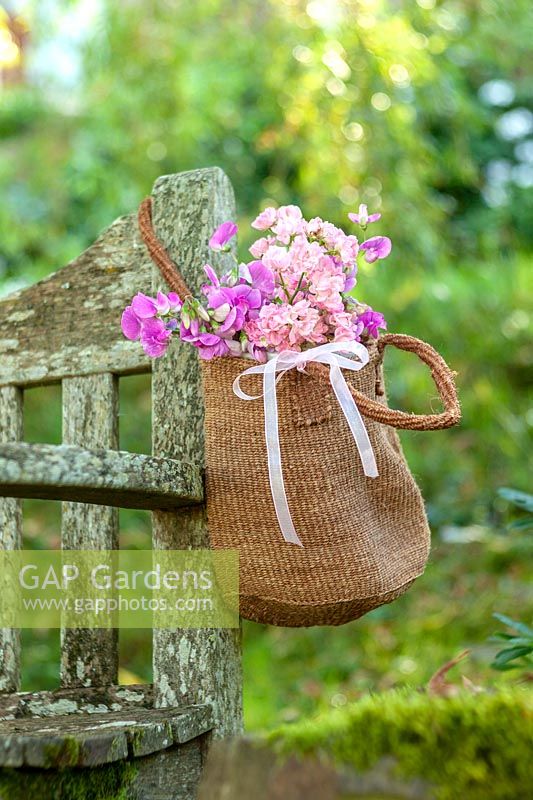 Brown raffia bag with Rosa 'The Fairy' and sweet peas hung on garden bench