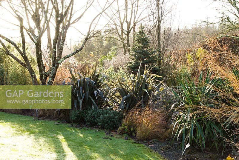 Border in the Foliage garden combines phormiums, grasses and shrubs. RHS Garden Rosemoor, Devon, UK. 