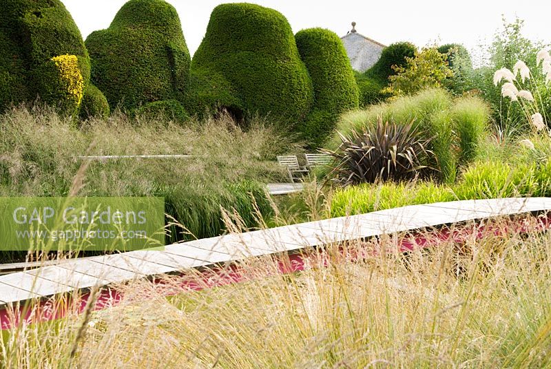 Contemporary garden featuring wooden walkway amongst ornamental grasses such as 
Panicum virgatum 'Rehbraun' and Chasmanthium latifolium. Backdrop of historic Taxus baccate - yew - topiary

