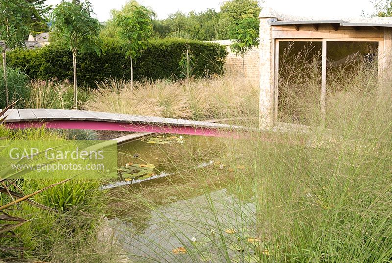 Contemporary garden design with wooden bridge across pond to summerhouse
 with planting based on ornamental grasses such as Chasmanthium latifolium, 
. In background a row of Robinia x margaretta 'Pink Cascade' 
