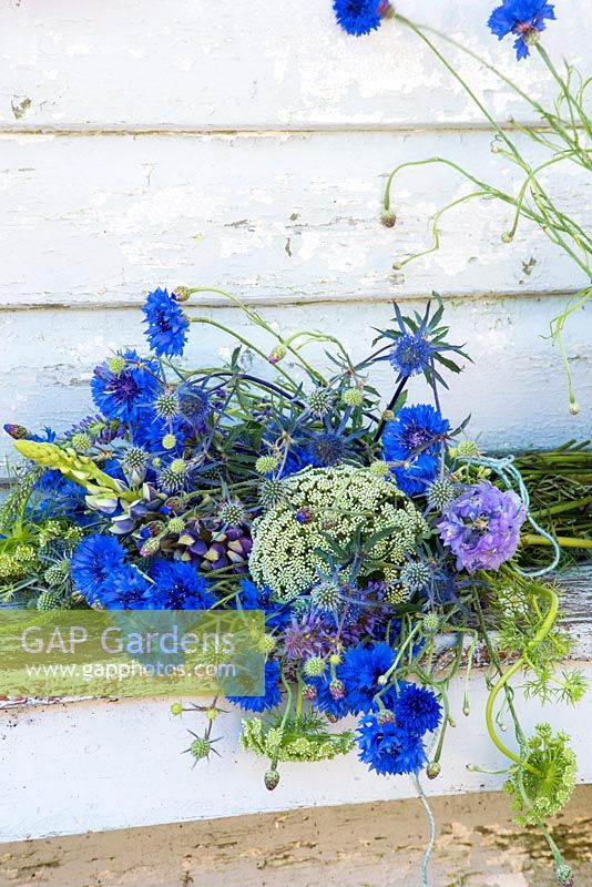 Loose bunch of summer flowers, including cornflowers, ammi visnaga and sea holly.