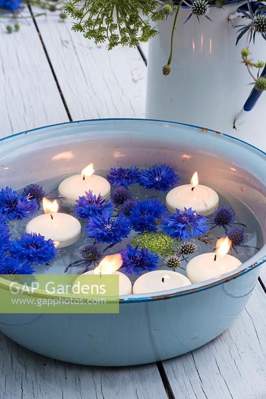 Floating cornflowers and candles in blue enamel bowl. 